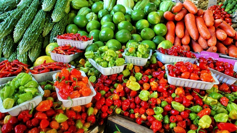 primeur-ST BLAISE-min_farmers-market-1329008