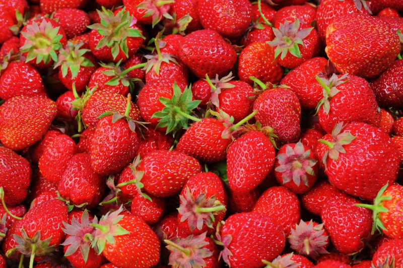 primeur-ST BLAISE-min_strawberries-528791